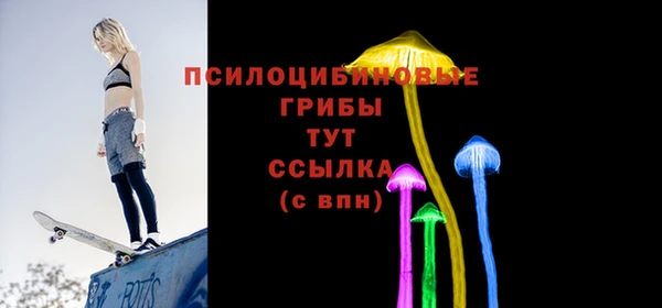 ПСИЛОЦИБИНОВЫЕ ГРИБЫ Костерёво