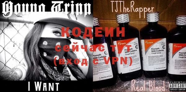 ПСИЛОЦИБИНОВЫЕ ГРИБЫ Костерёво