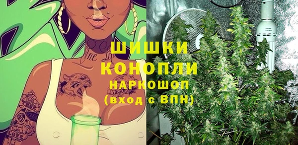 ПСИЛОЦИБИНОВЫЕ ГРИБЫ Костерёво